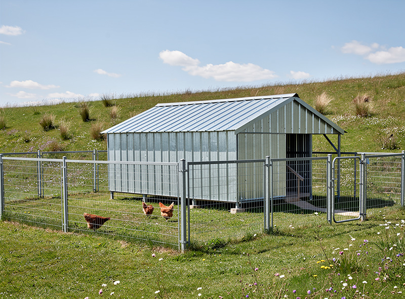 Galvanized metal chicken coop with steel panels and metal roof set in a rural pasture