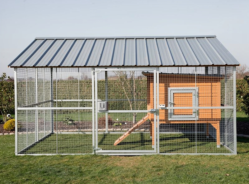Chicken run with covered roof and integrated coop predator-proof design