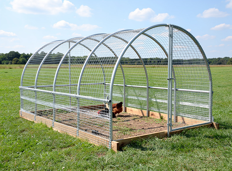 Hoop chicken tractor with cattle panel arches in pasture