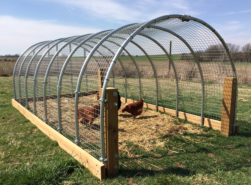 Portable cattle panel hoop chicken pen with hardware cloth lining