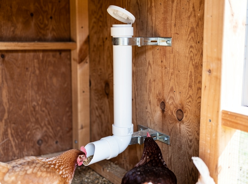 DIY PVC pipe gravity chicken feeder mounted in coop