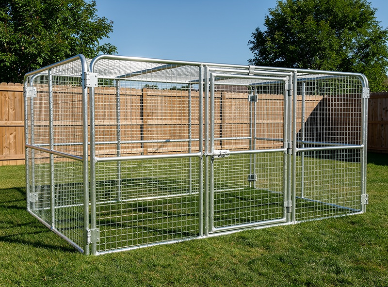 Galvanized steel chicken run with welded wire panels in backyard