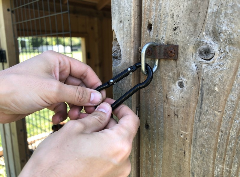 Hands installing a black metal carabiner replacement latch on the wooden door of a Pawhut chicken coop, weathered wood visible, daylight