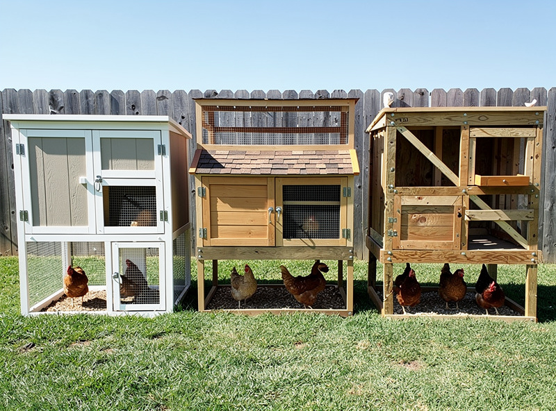 Three smart chicken coop setups compared: kit, hybrid, and DIY approaches