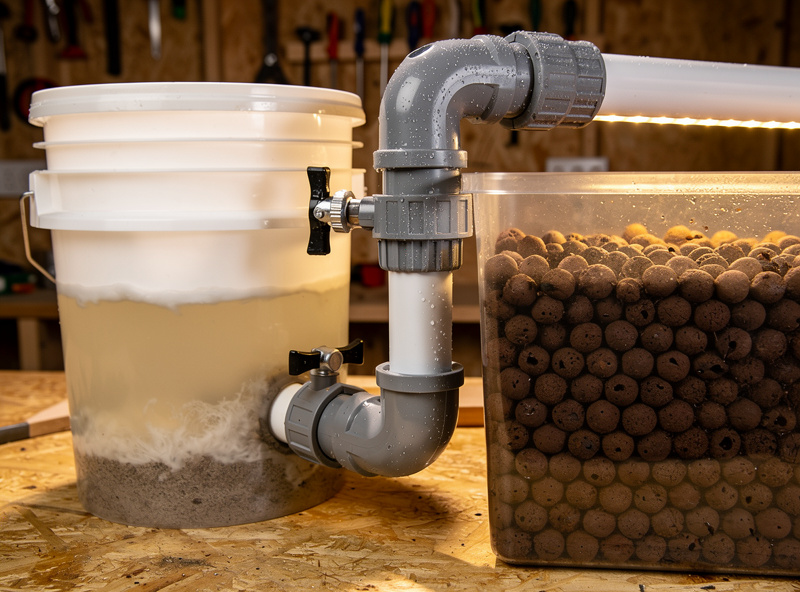 Settling tank and biofilter setup with PVC plumbing from coop drain to hydroponic reservoir filled with expanded clay pellets