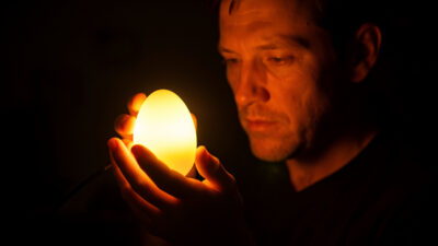 Candling eggs during incubation