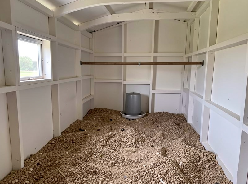A clean tidy chicken coop interior with fresh deep-litter bedding meeting the ordinance cleanliness requirement