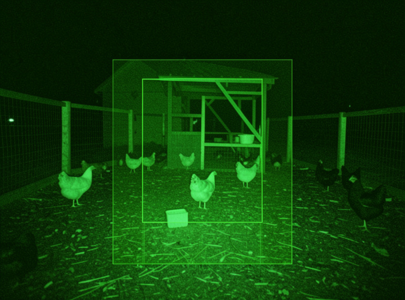 Night-vision camera view of a chicken run with a highlighted motion detection zone