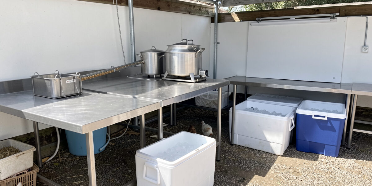 A clean organized outdoor poultry processing setup with stainless steel tables and coolers