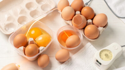 Incubating chicken eggs