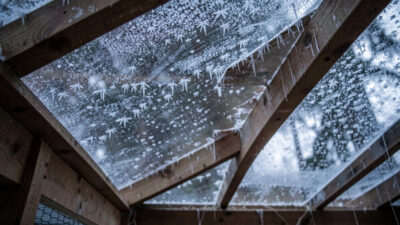 Why a chicken coop needs ventilation