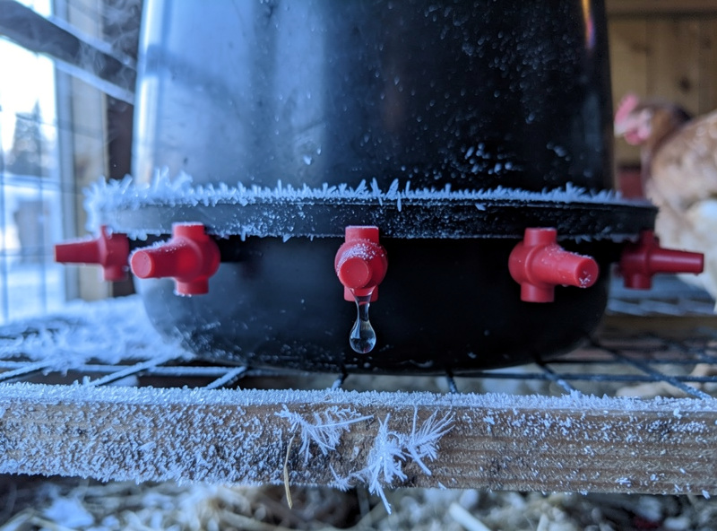 Heated poultry waterer with horizontal nipples staying liquid in a frozen coop