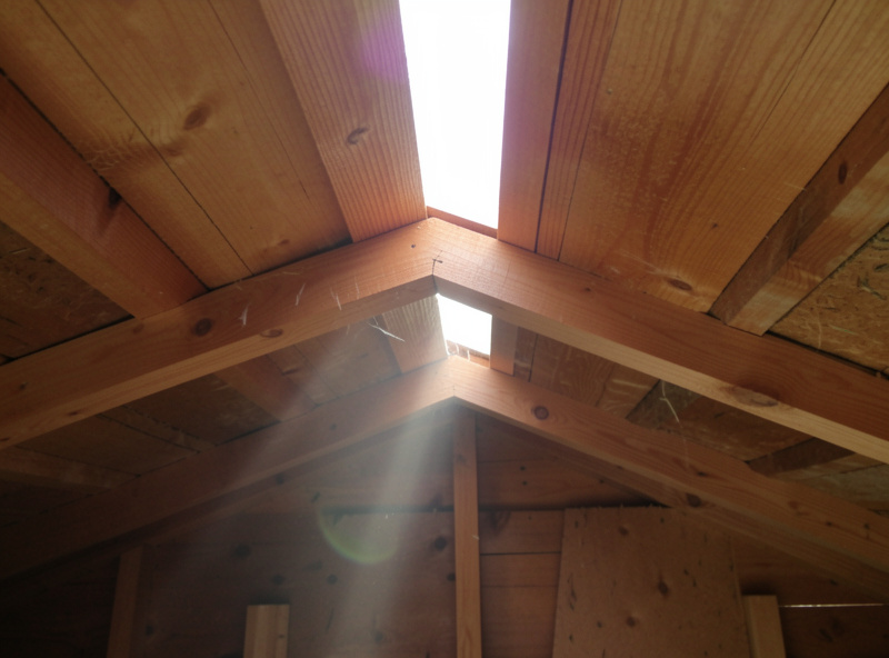 Ridge vent gap at the top of a coop interior with daylight streaming through, showing the airflow space