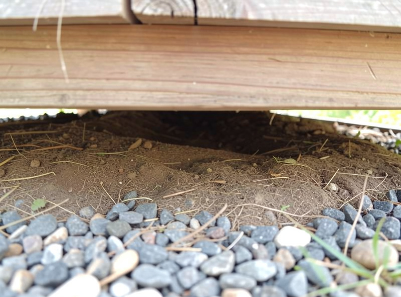 Open ventilated gap under a raised coop showing dry ground and gravel with no rodent nesting