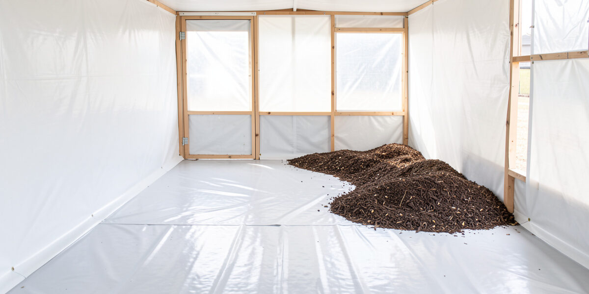 Chicken coop interior with a seamless sheet-vinyl floor coved up the walls