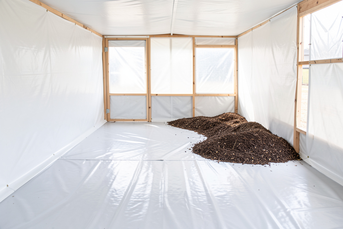 Chicken coop interior with a seamless sheet-vinyl floor coved up the walls, clean and glossy with deep litter pushed aside